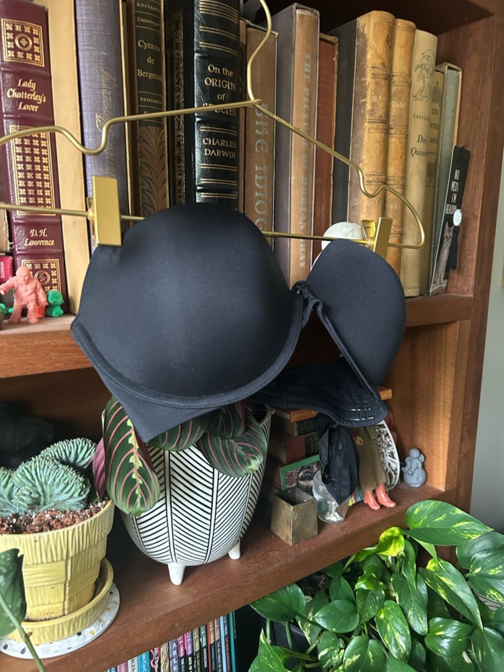Soma Black Strapless Molded Raviahing Push-Up Multiway Bra 32D